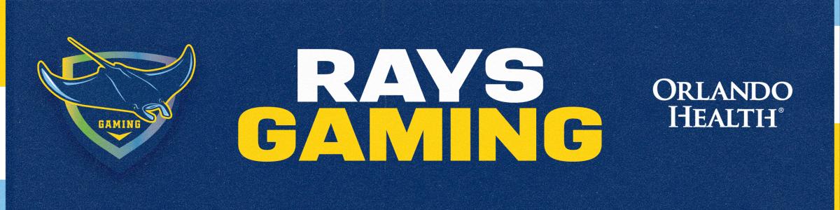tampa bay rays new logo